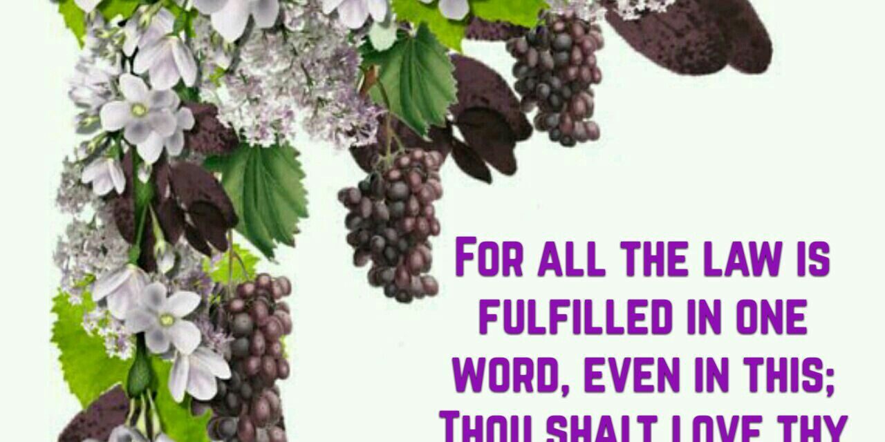 Salatians 5:14 quote